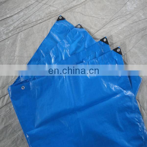 pvc/pe tarpaulin price
