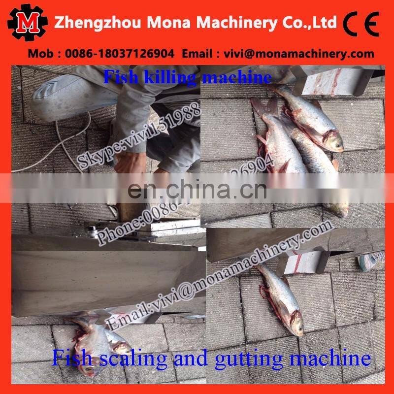 automatic small fish cleaning machine|anchovy fish killer machine|Tilapia gutting machine