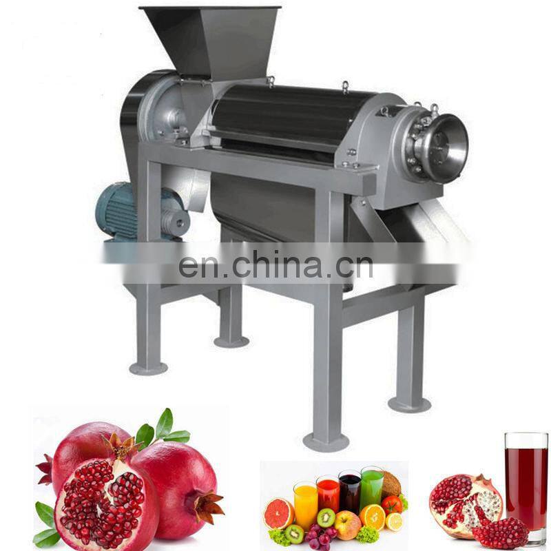 Hot Sale Pear Electric fruit and vegetable juicer