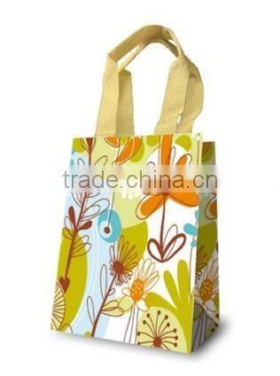 Fancy Gift Bag, Souvenir packaging Bags