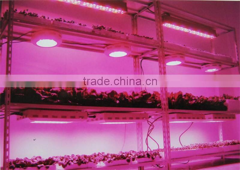 factory price of led grow light for global wholesales and agents