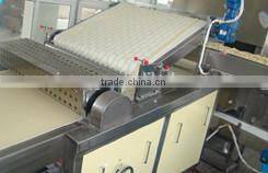 High technology complete full automatic potato chips production line