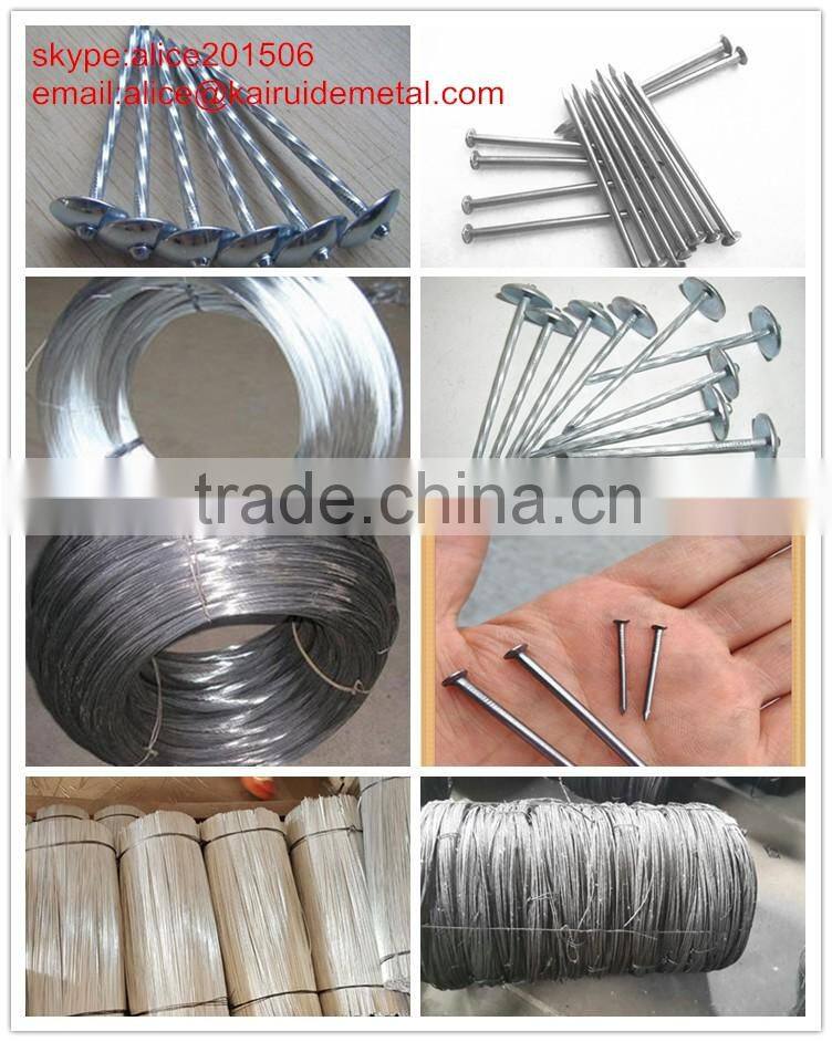 wholesale factory alibaba production all size of woodiron wire nail,common iron wire nail,common nail