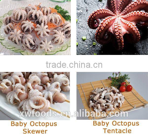 chinese sea wholesale health frozen octopus whole round