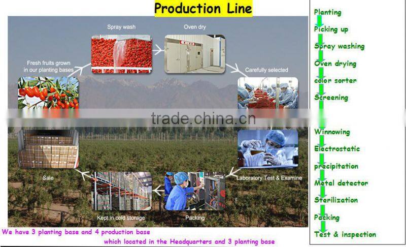 2015 new harvest dried goji berry for regulating Blood Fat