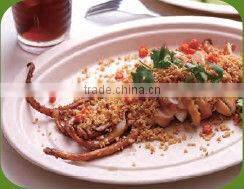 a Biodegradable Disposable Sugarcane Bagasse Ellipse Plate