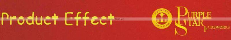 PS8004 8s 1.4G UN0336 Star Thunder 7" Hand-hold Roman Candle