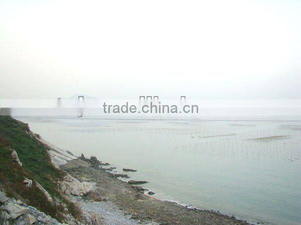 Organic Roasted Seaweed Nori For Sushi (50sheets *80/ctn)