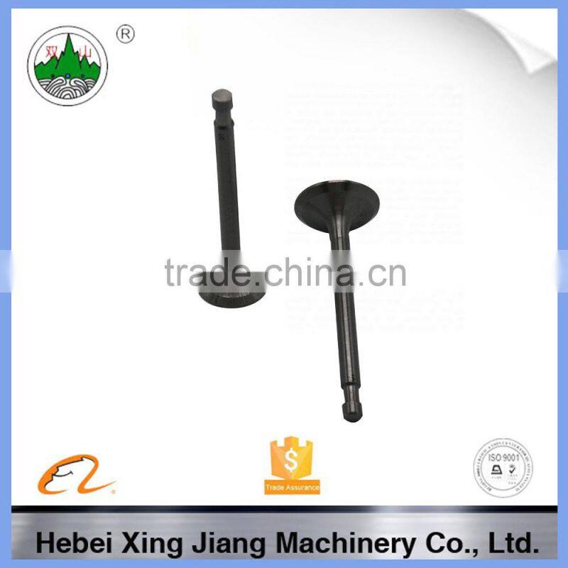N180 diesel engine valve ,engine valves