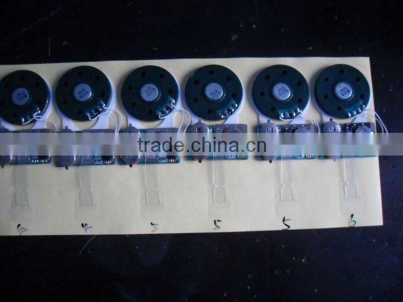 programmable voice chip