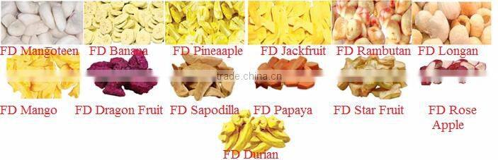 HQ Vacuum Freeze Dried Red Dragon fruit powder from Thailand ( Thai Ao Chi Fruits )