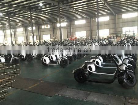 factory price citycoco 2 wheels off road smart city scooter