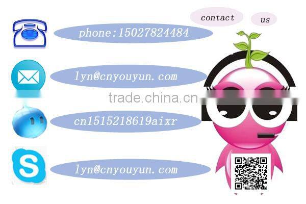 UW custom trendy punching bag for Saers