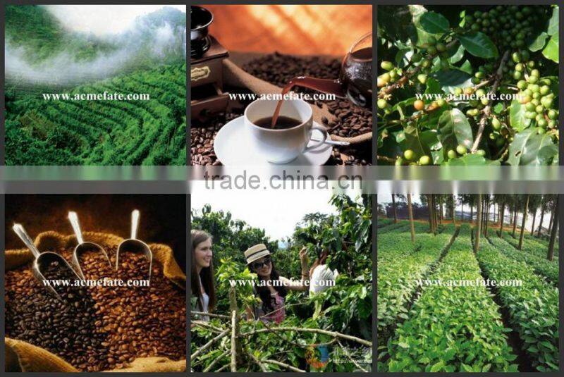 Natural and Bulk Packaging Raw Green Coffee Beans Popular Products