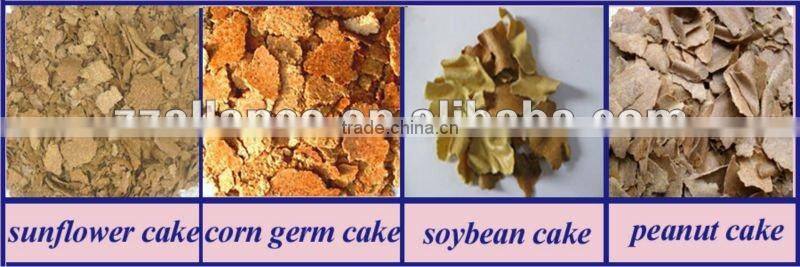 Factory price offer plant oil extraction machine