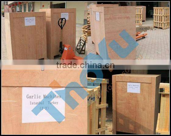 stainless steel automatic garlic peeling machine in alibaba SMS:0086-15238398301