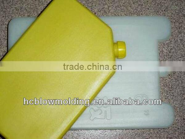OEM Blow Molding plastic Medical ice sheet HDPE Medical ice raft Huizhou factory