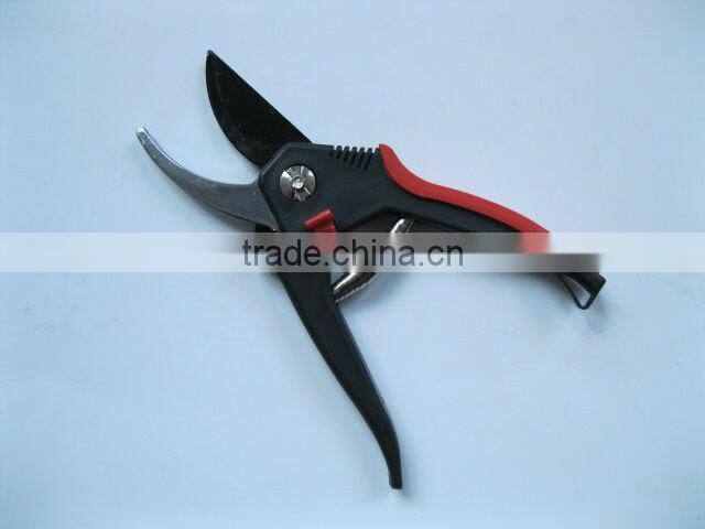 Pruning Scissors