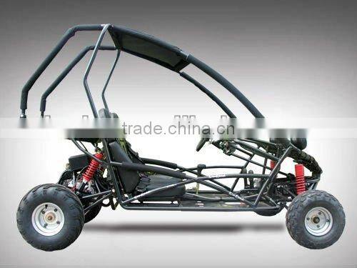 Teenager 110cc go kart PGO