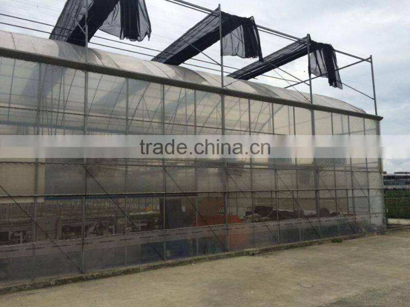 Multi-span greenhouse with greenhouse window opener system