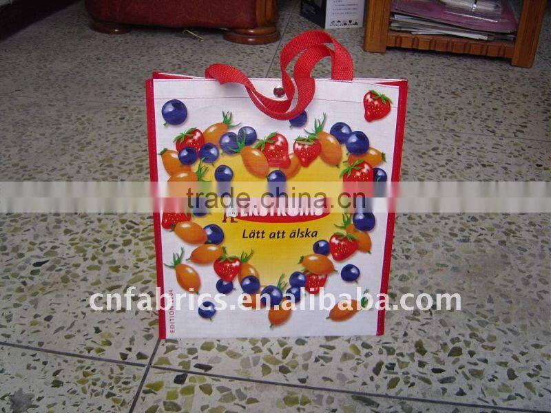 pp woven shopping and promotion bag