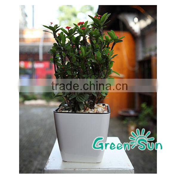 Garden planter pot,flower pot,self-watering planter,nursery Pots,Sub-irrigation system planter pot,Desktop planter