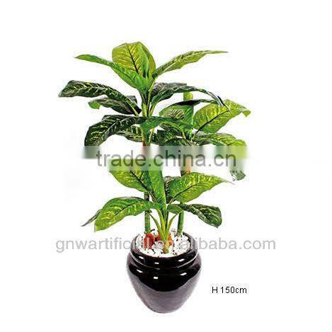 plant and tree nursery green mini plants indoor office GNW G120