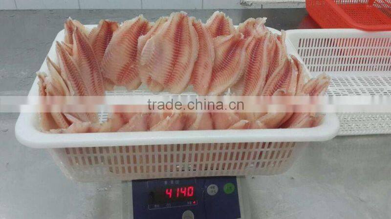 Frozen Tilapia Fillet (Oreochromis Niloticus)