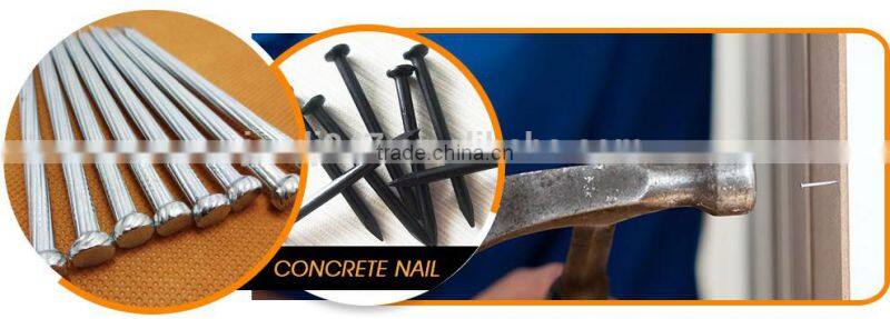 Galvanized Concrete Steel Nails From Guangzhou Supplier
