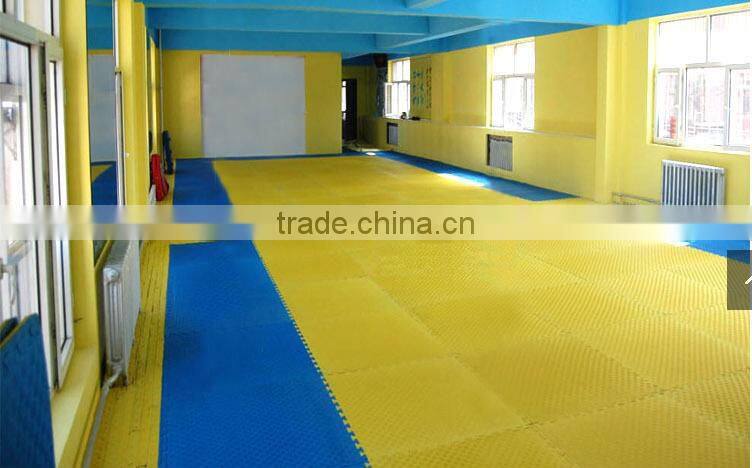 Factory Directly EVA Foam Mats/Taekwondo Floor Mats/Child Dance Exercise Mat