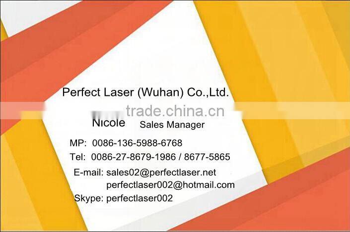 PEQD 100E industrial LCD flat dot car number dot peen marker