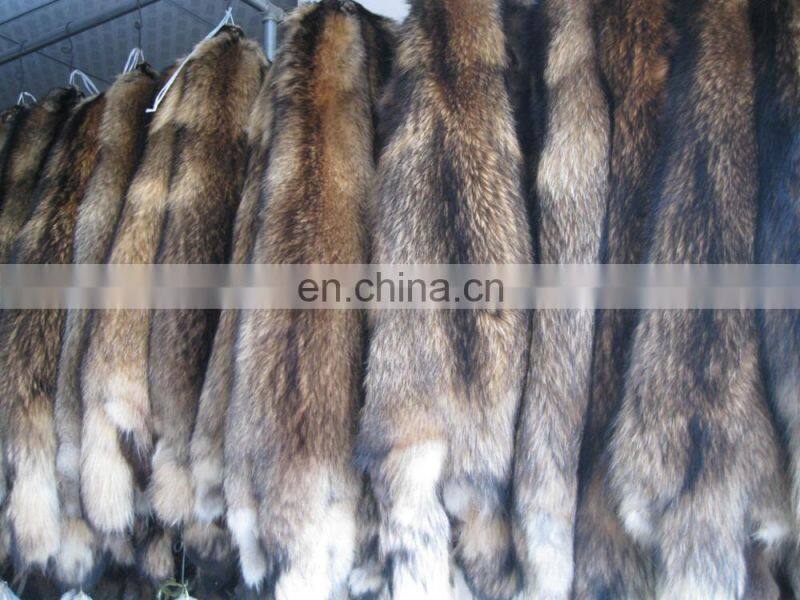 Factory wholesale high quality Dyed Raccoon fur skin