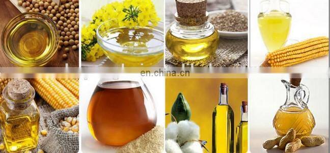 Best Automatic Avocado Herb Sunflower Hemp Cashew Rice Bran Coconut Palm Nut Cacao Rapeseed Edible Oil Press Machine