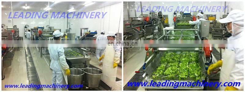 Fruit and vegetable washing and drying machine