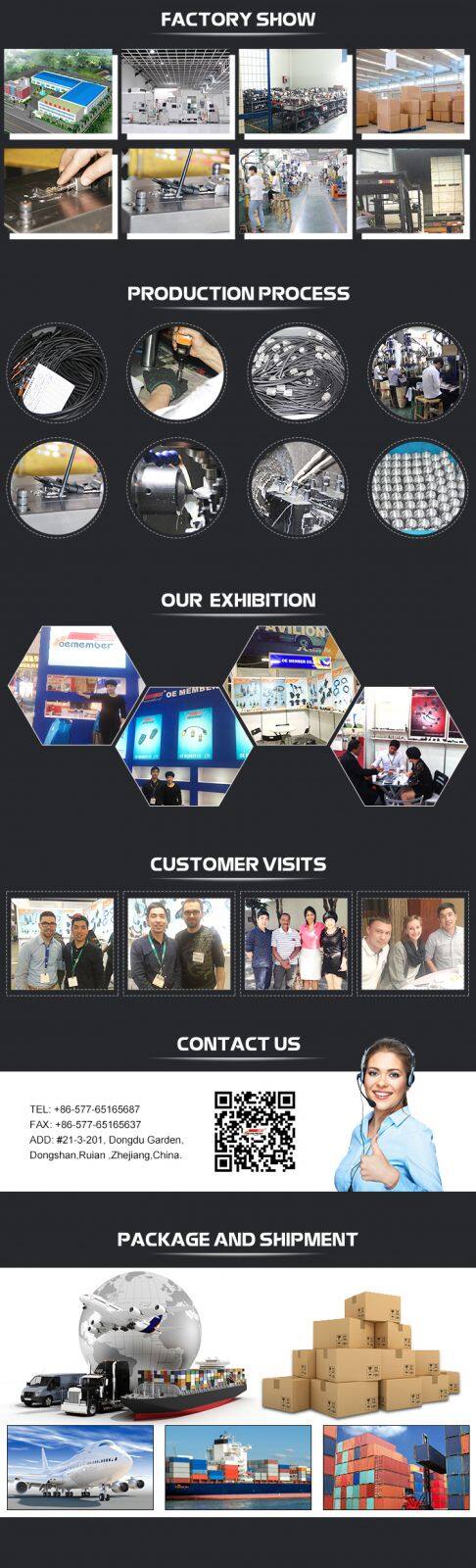 Truck Temperature Sensor for DAF 387460 0387460