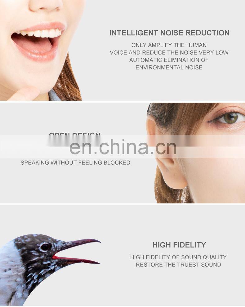 Guangdong Digital Programmable Hearing Aid With Components