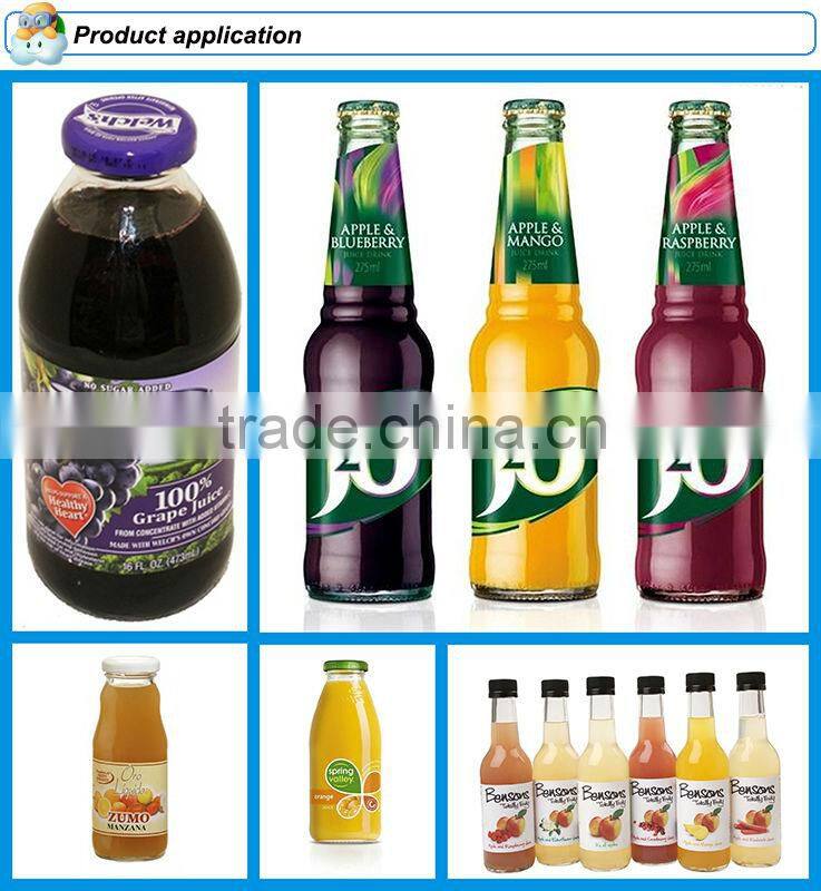 5000 bottles per hour glass bottle fruit juice production line