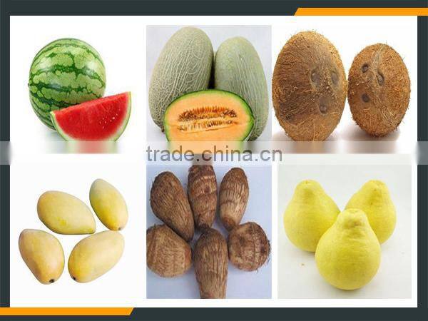 Leader pineapple peel and pulp separater with low power consumption