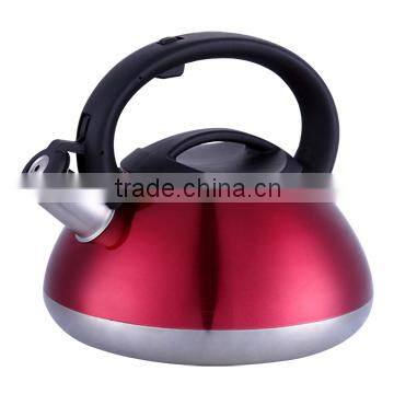 Stainless Steel Cookware Whistling Tea Kettle With Colorful Painting
