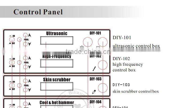 hotsale 17 in 1 multifunction skin care beauty salon machine DIY-1001