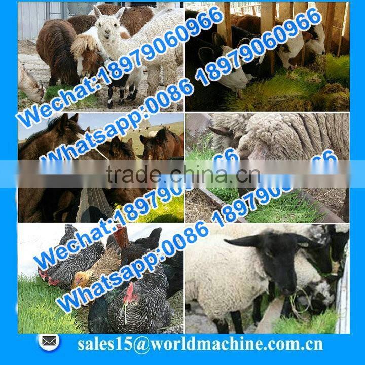 WHIR Saudi Arabia with SASO certificate hydroponic hydroponics cultivation for growing fodder grass,barley,wheat