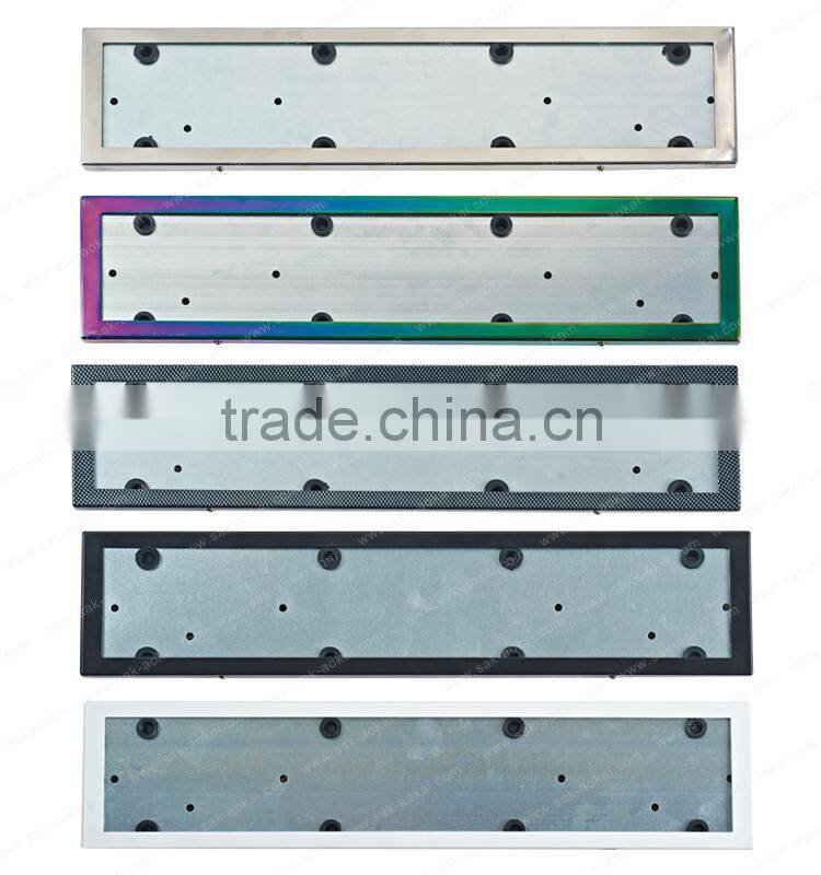 European 2x LED Light Plastic License Plate Frame