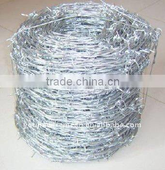 Galvanized Barbed Iron Wire (Youjie Factory)