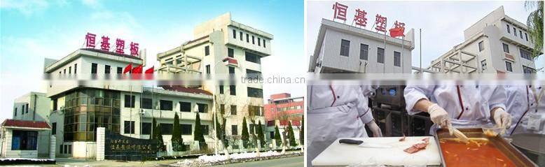 antibacterial PE plastic sheets, eco-friendly plastic sheets very cheap