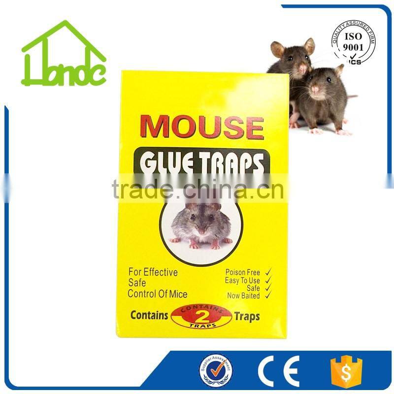 Mouse Glue Trap HD037115