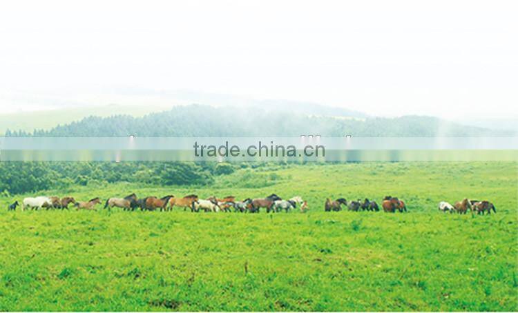 Durable and cheep glycerin lotion for industrial use , sample also available