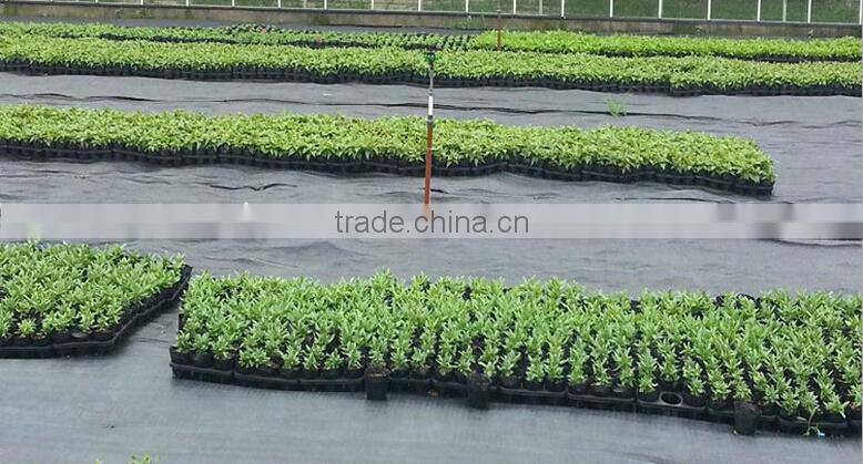 PP woven weed mat for protect plants,weed control fabric,woven plastic mat