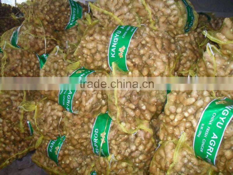 chinese low price ginger