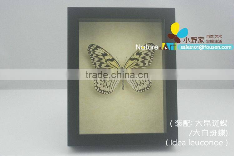 FOUSEN(017) Nature& Art preserved insect mounted in glasses frame