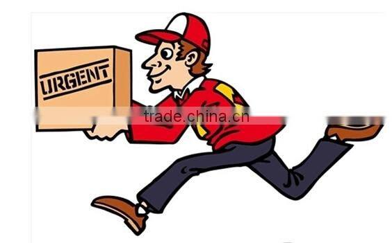 Hola custom mascot head/mascot costume supplier China